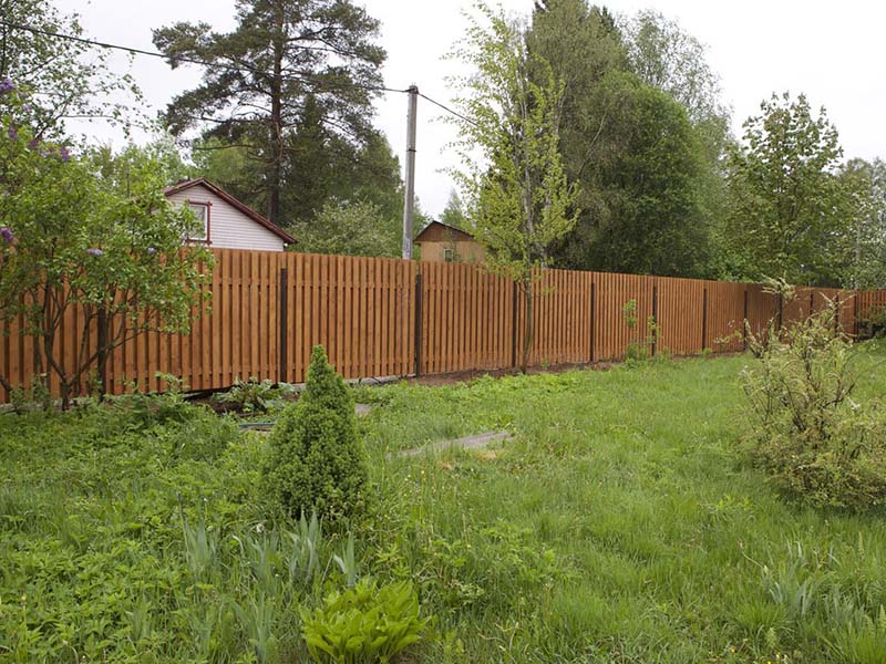 Деревянный забор на даче